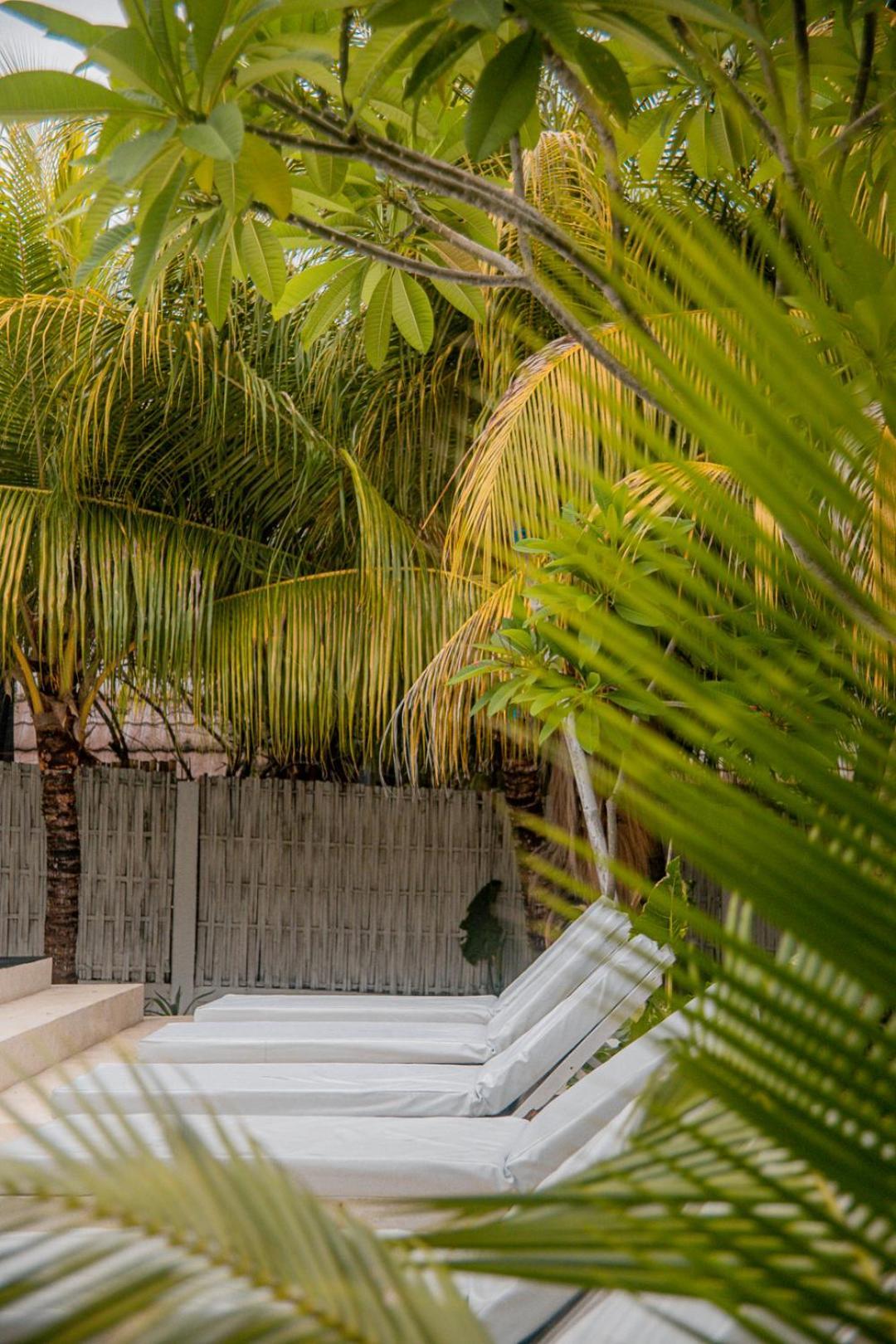 Hakuna Matata Resort 吉利阿尔 外观 照片